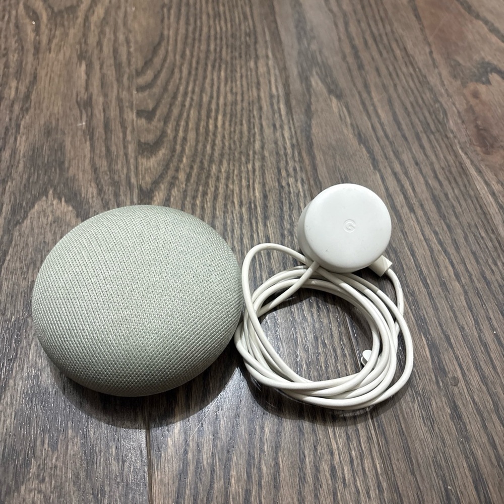 Google Nest Mini in Light Gray with Charger
